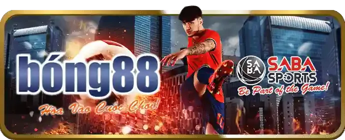 Cá cược thể thao WM9378